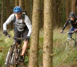  en el sendero boscoso 